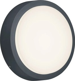 TRIO 227260142 BREG Modern Kültéri Fali Lámpa Antracit LED IP44