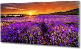 Fotótapéta falra edzett üveg Dzsungel 100x70