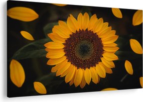 Kép - Napraforgók és a virágszirmok (90x60 cm)