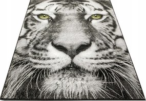 Tigrisszőnyeg Szürke Fekete Ifjúsági Modern Stílusos Rainbow 133x190 cm