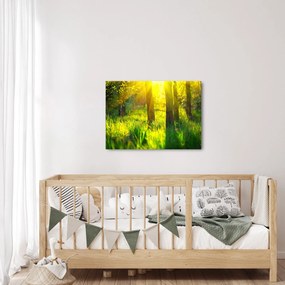 Kép - Az erdő tavaszi ébredése (70x50 cm)