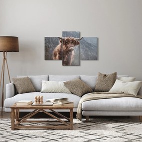 Kép - Highlander tehén (90x60 cm)