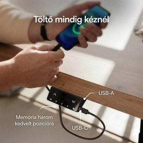Elektromosan állítható magasságú asztal Liftor Expert