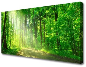 Vászonkép Forest sáv fák természet 140x70 cm