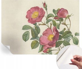 Dekoratív öntapadós fotótapéta Hálószobába Rózsa motívum 208x146 cm