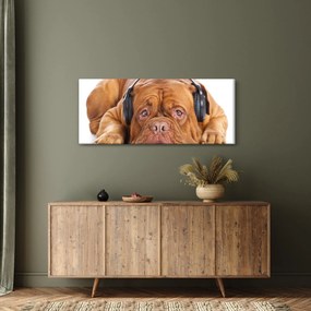 Kép egy kutya fejhallgatóval (120x50 cm)