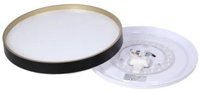 LED Mennyezeti lámpa FLORIDA LED/18W/230V fekete