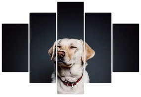 Labrador képe (150x105 cm)