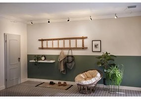 Paulmann 94457 - 5xLED/4W CLEAR spotlámpa szett drótkötél-rendszerhez 230V