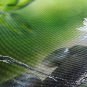 Kép - Lotus (70x50 cm)