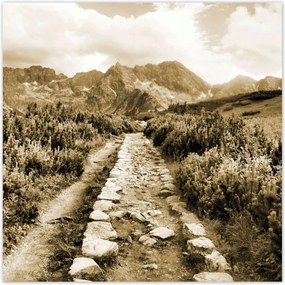 Poszterek 100x100 Tátra Lengyel hegyek Kilátás