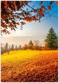 Poszterek 50x70 Őszi táj