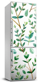 Hűtő matrica Eukaliptusz görcsökkel FridgeStick-70x190-f-109516914