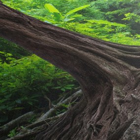 Kép - Öreg fa gyökere (órával) (90x30 cm)