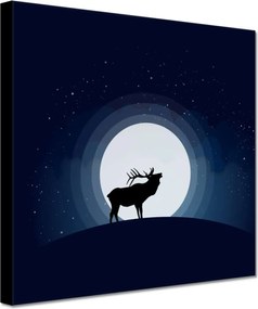 Vászonkép 20x20 Szarvas felszarvazott