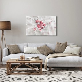 Kép - Fagyasztott gyümölcsök (90x60 cm)