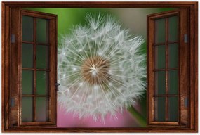 Poszterek 90x60 Pitypang Virág Virágok