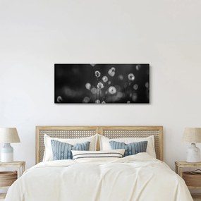 Kép - Pamutfű a réten (120x50 cm)