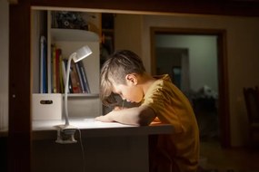 Osram - LED, fényerőszabályozható csíptetős asztali lámpa OFFICE LINE LED/4,8W/230V fehér