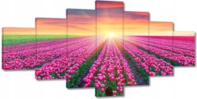 Vászonkép 210x100 Tulipánok tengere Virágok