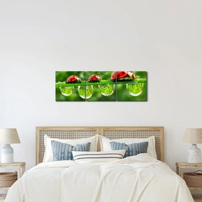 Kép - A hét nap napfénye (órával) (90x30 cm)