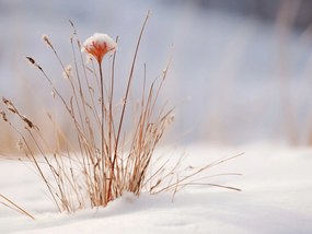 Poszter 100x75cm Tél a részletekben