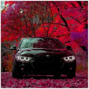 Poszterek 100x100 Fekete Bmw Ćsz