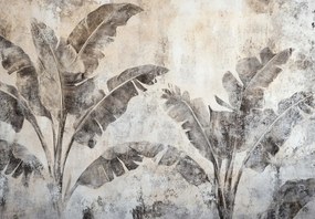 Fotótapéta - Banánfa a falon (147x102 cm)