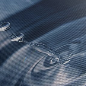 Kép - Cseppek (70x50 cm)