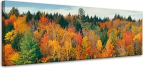 Vászonkép Színes Levelek Fák Ősz Természet 120x40 cm