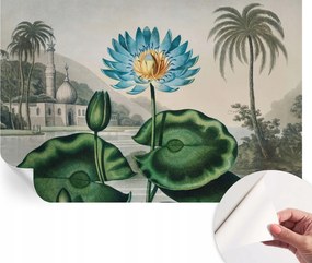 Fotótapéta Öntapadós tapéta a szobába Egzotikus táj 104x70 cm