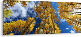 Kép - Aspen (120x50 cm)