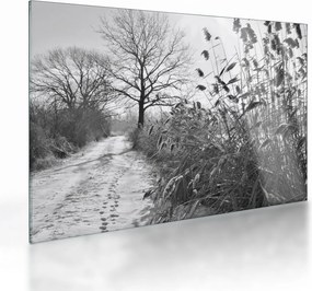 Üveg kép - Mezők télen (70x50 cm)