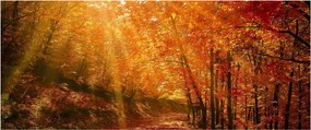 Őszi erdő képe (120x50 cm)