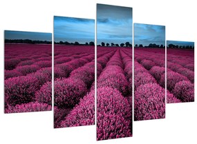 Virágos mező képe (150x105 cm)