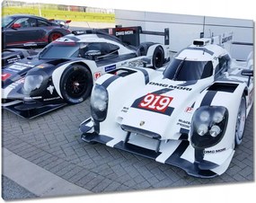 Képek 100x70 Porsche Autó