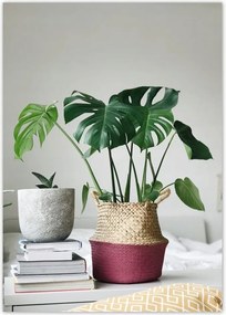 Poszterek A0 Pion Mosnter levelek lyukas