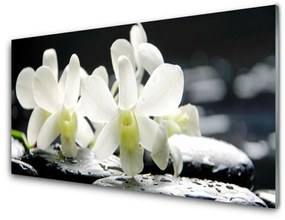 Üvegkép Stones orchidea virágok 100x50 cm