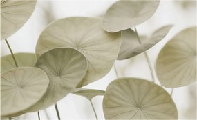 Fotótapéta Fali tapéta Hálószoba Nappali Természetes elegancia 416x254