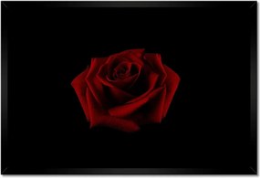 Poszter keretben 60x40 Gyönyörű vörös rózsa