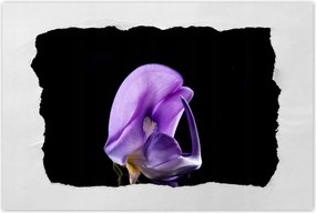 Poszterek 90x60 Nőnap Ajándék Love