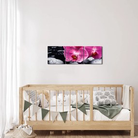 Kép - Rózsaszín orchidea pálmalevéllel (órával) (90x30 cm)