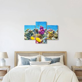 Kép - A tenger világa (90x60 cm)