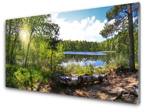 Üvegkép Lake Forest Fák Nature 120x60cm 4 fogas