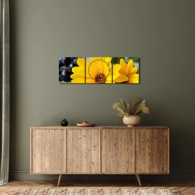 Sárga virágok képe (órával) (90x30 cm)