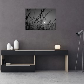 Kép - rét naplementével (70x50 cm)