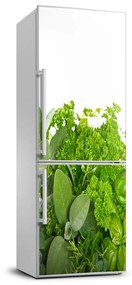 Matrica hűtőre Gyógynövények FridgeStick-70x190-f-42979948