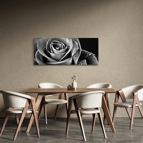 Kép - Rózsa, fekete-fehér (120x50 cm)