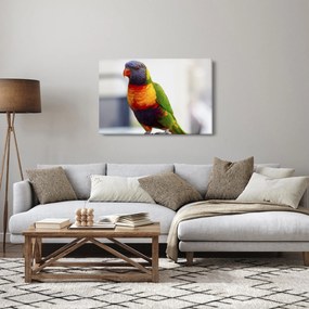 Papagáj képe (90x60 cm)
