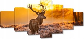 Vászonkép 210x100 Szarvas naplementekor